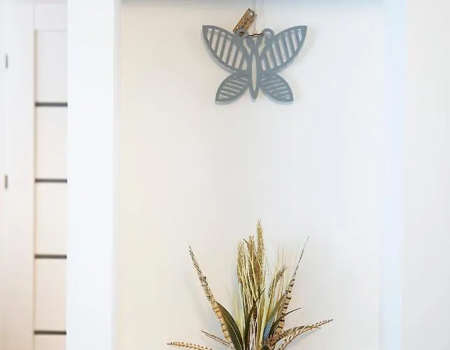 Groundfloor On The Hill